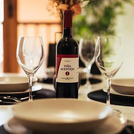 Daire Tropical Cruz Puerto de la Cruz (Tenerife)