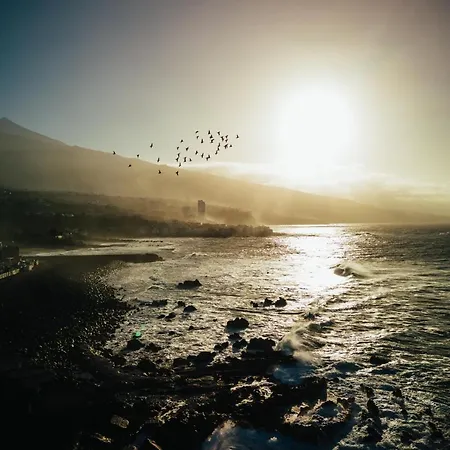 Tropical Cruz Διαμέρισμα Πουέρτο Ντε Λα Κρουζ