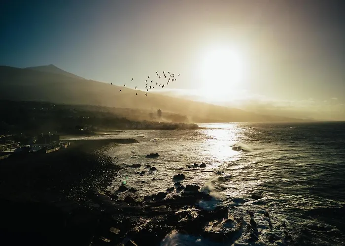 Tropical Cruz Appartamento Puerto de la Cruz (Tenerife)